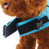 Dog Life Vest - Carbone's Marketplace