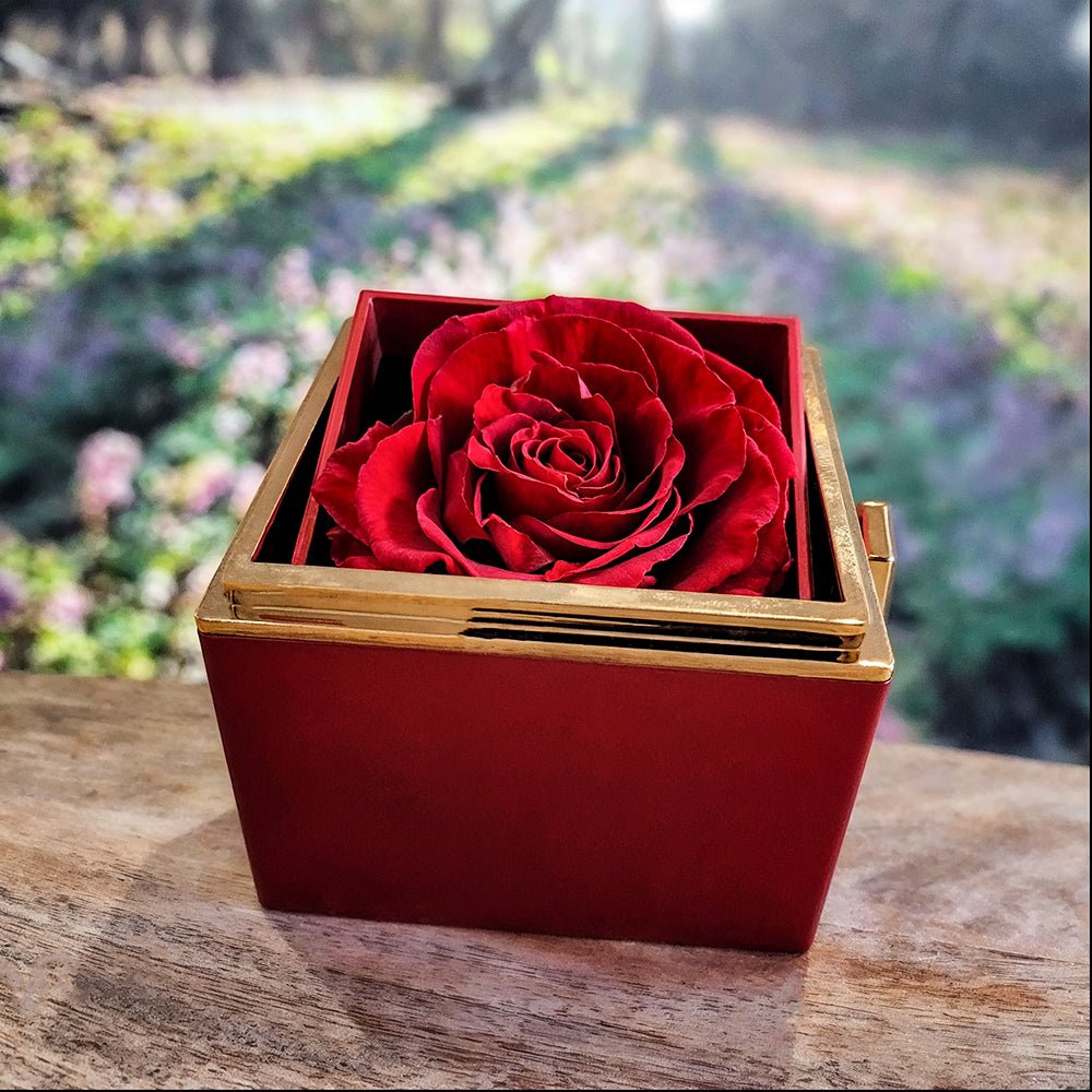 For The Heart That Raised Me” – Eternal Love Knot Gift Set - Carbone's Marketplace