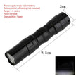 PawGlow Portable Led Flashlight - Carbone's Marketplace