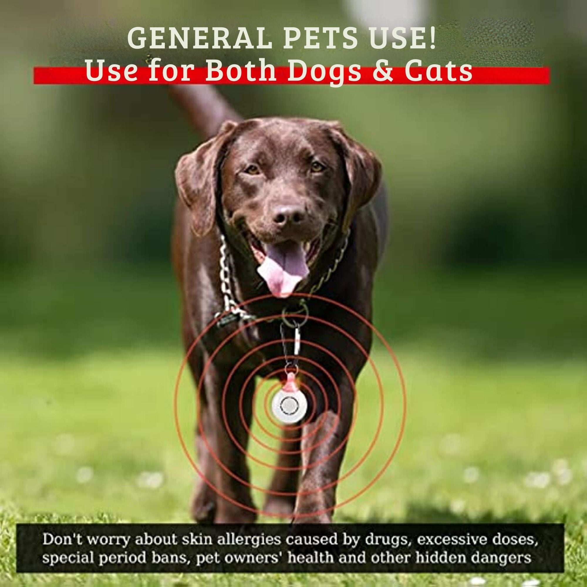 Pests Guard Pro Repeller for Pets : UNBEATABLE OFFER - LIMITED TIME - SAVE $89.95 - Carbone's Marketplace