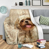 Shih Tzu - Blanket - 1235 - Carbone's Marketplace