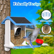 Smart Bird Feeder With Camera, Solar - Powered WiFi 4MP Live Camera, AI Identify Bird Species Auto Capture Garden Bird Watching & Motion Detection, Ideal Gift For Bird Lovers, Blue - Carbone's Marketplace