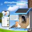 Smart Bird Feeder With Camera, Solar - Powered WiFi 4MP Live Camera, AI Identify Bird Species Auto Capture Garden Bird Watching & Motion Detection, Ideal Gift For Bird Lovers, Blue - Carbone's Marketplace