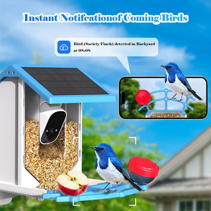 Smart Bird Feeder With Camera, Solar - Powered WiFi 4MP Live Camera, AI Identify Bird Species Auto Capture Garden Bird Watching & Motion Detection, Ideal Gift For Bird Lovers, Blue - Carbone's Marketplace