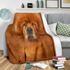 Tibetan Mastiff Face Hair Blanket - Carbone's Marketplace