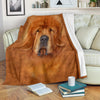 Tibetan Mastiff Face Hair Blanket - Carbone's Marketplace