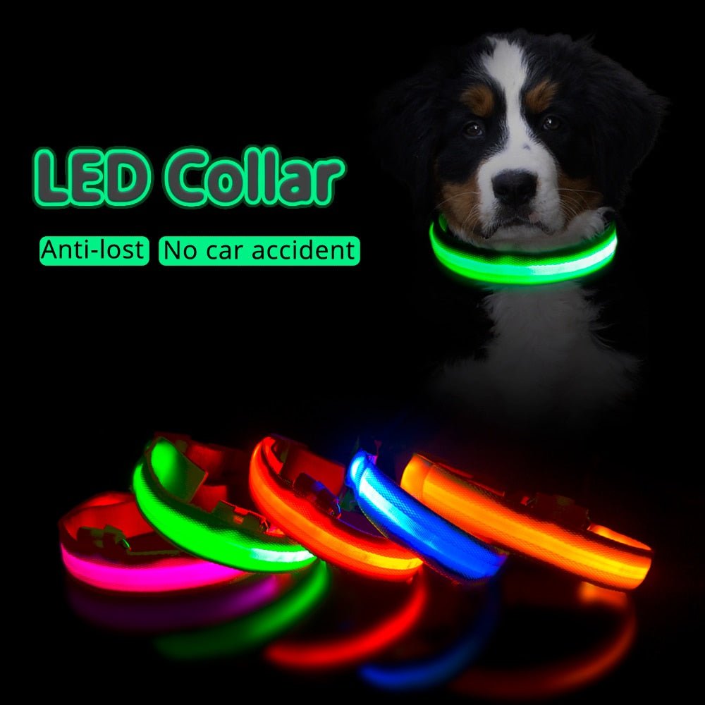 USB Charging Led Dog Collar - Boost Visibility and Safety - Never Lose Sight of Your Pet Again - Carbone's Marketplace