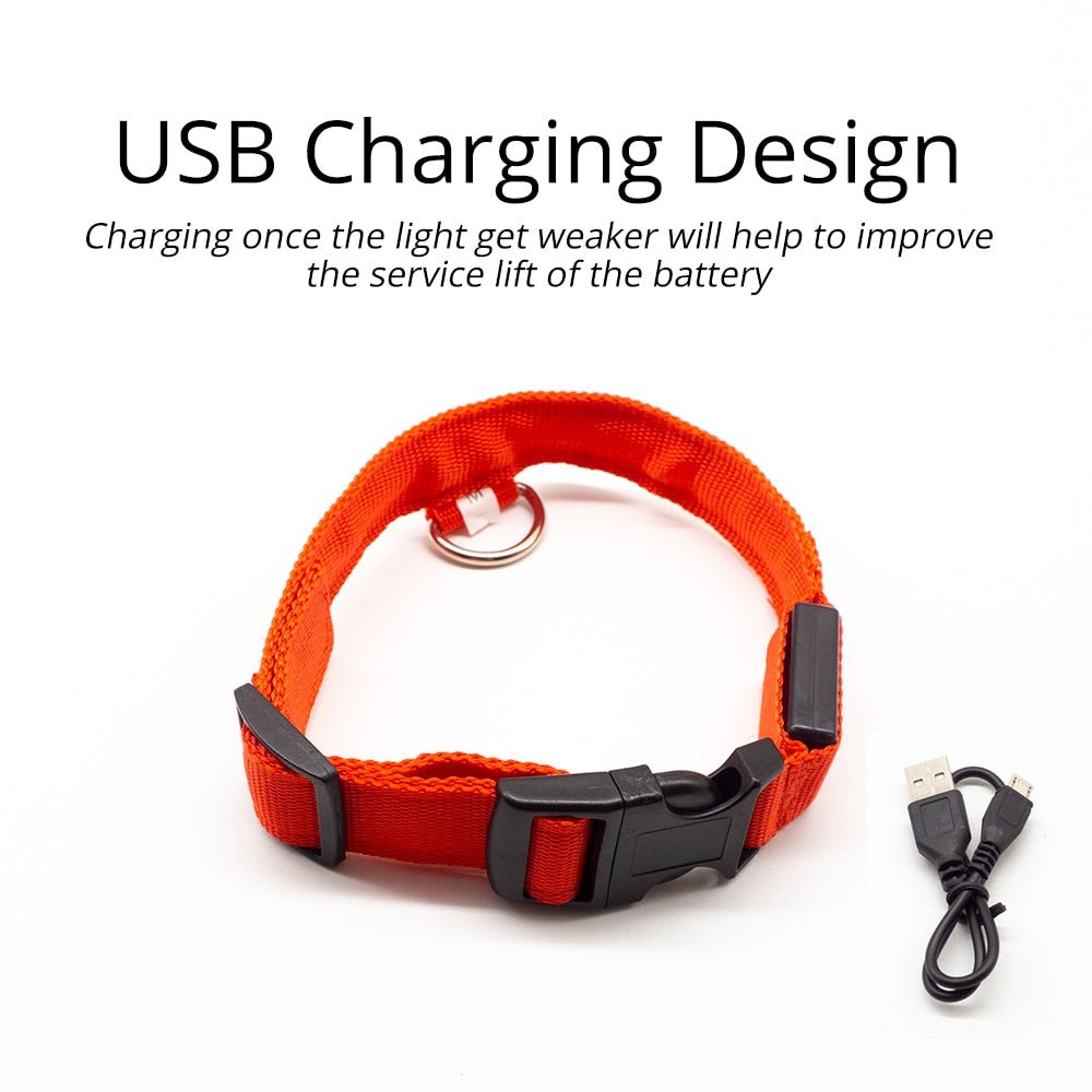 USB Charging Led Dog Collar - Boost Visibility and Safety - Never Lose Sight of Your Pet Again - Carbone's Marketplace