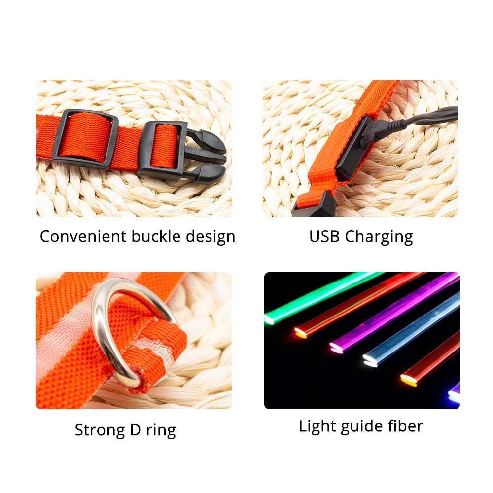 USB Charging Led Dog Collar - Boost Visibility and Safety - Never Lose Sight of Your Pet Again - Carbone's Marketplace