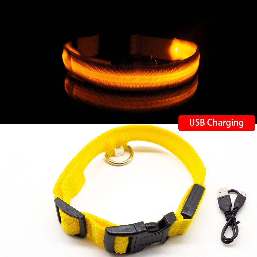 USB Charging Led Dog Collar - Boost Visibility and Safety - Never Lose Sight of Your Pet Again - Carbone's Marketplace