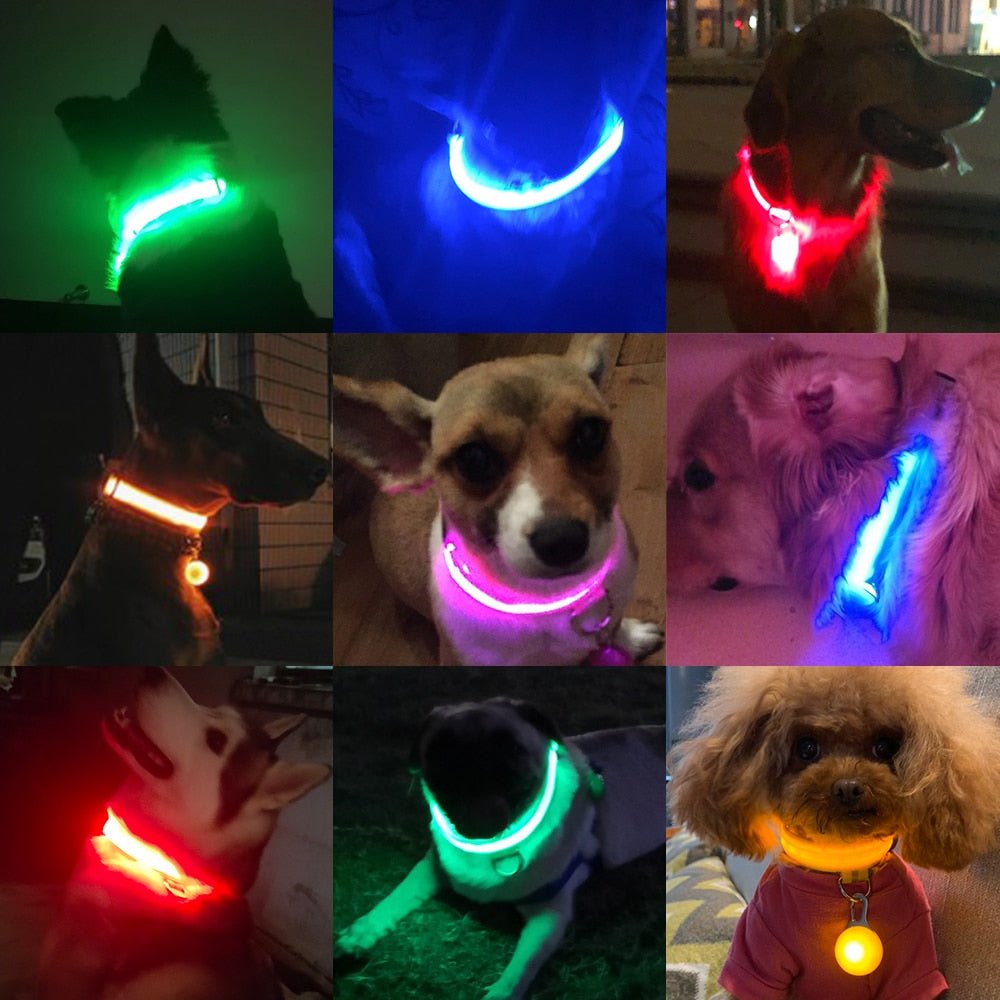 USB Charging Led Dog Collar - Boost Visibility and Safety - Never Lose Sight of Your Pet Again - Carbone's Marketplace