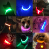 USB Charging Led Dog Collar - Boost Visibility and Safety - Never Lose Sight of Your Pet Again - Carbone's Marketplace