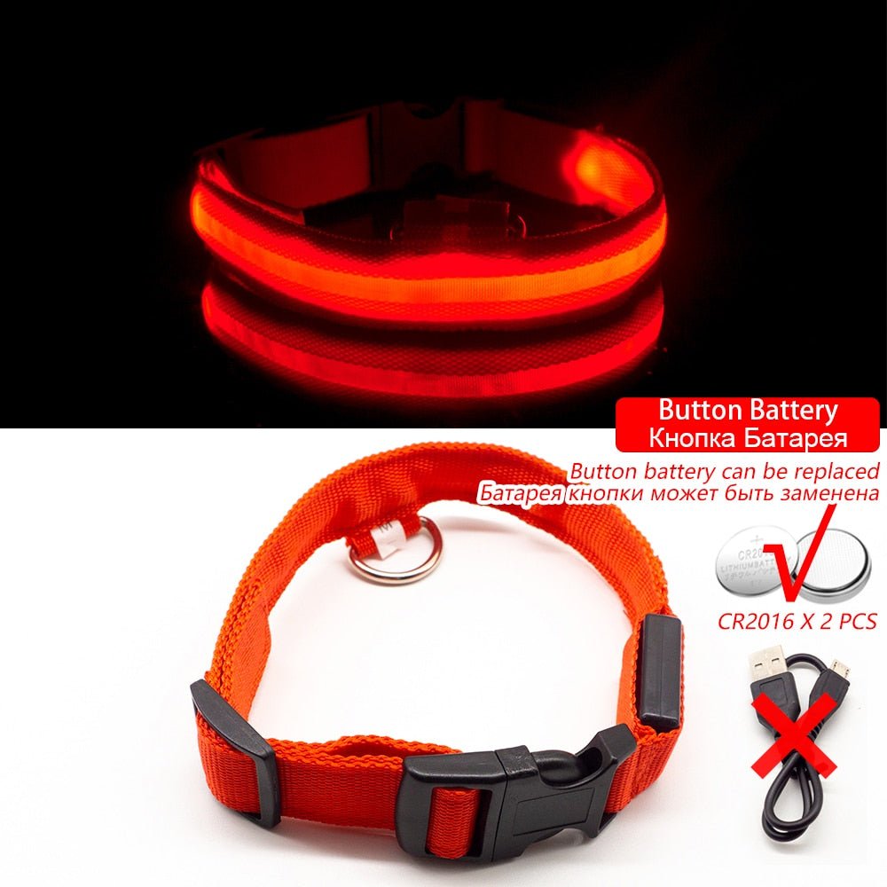 USB Charging Led Dog Collar - Boost Visibility and Safety - Never Lose Sight of Your Pet Again - Carbone's Marketplace