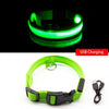 USB Charging Led Dog Collar - Boost Visibility and Safety - Never Lose Sight of Your Pet Again - Carbone's Marketplace