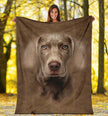 Weimaraner Face Hair Blanket - Carbone's Marketplace