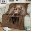 Weimaraner Face Hair Blanket - Carbone's Marketplace