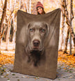 Weimaraner Face Hair Blanket - Carbone's Marketplace