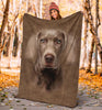 Weimaraner Face Hair Blanket - Carbone's Marketplace