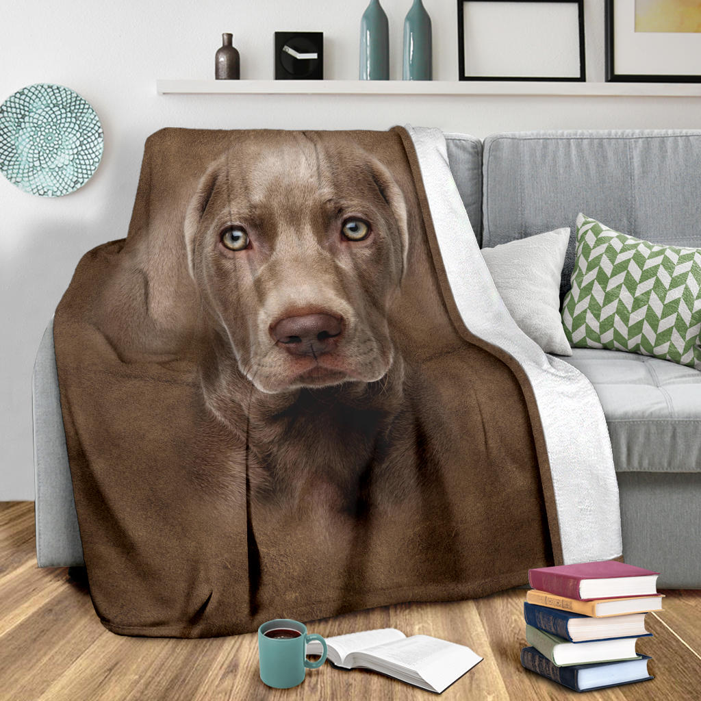 Weimaraner Face Hair Blanket - Carbone's Marketplace