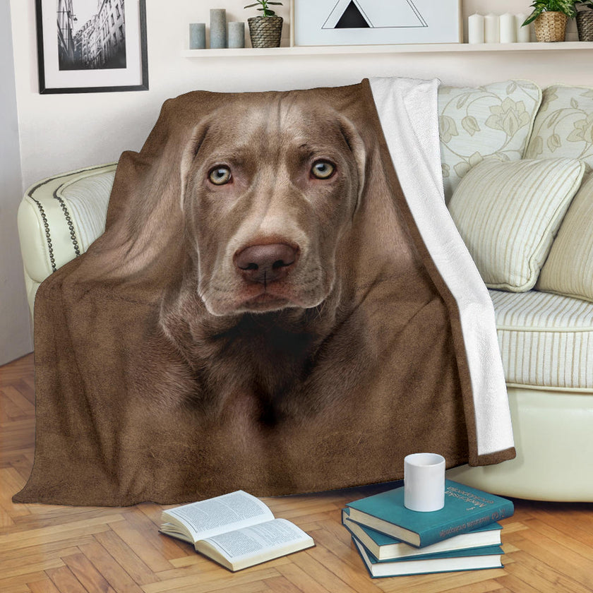 Weimaraner Face Hair Blanket - Carbone's Marketplace