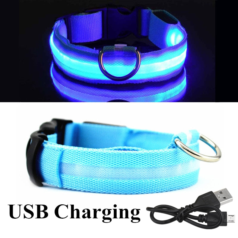 Adjustable LED Glowing Pet Collar for your Dog