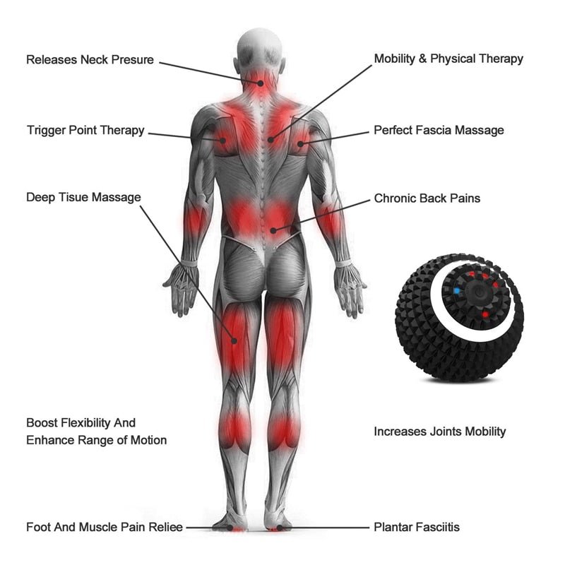 4-Speed Electric Massage Ball - Carbone's Marketplace