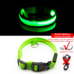 USB Charging Led Dog Collar - Boost Visibility and Safety - Never Lose Sight of Your Pet Again - Carbone's Marketplace