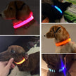 Adjustable LED Glowing Pet Collar for your Dog