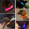 Adjustable LED Glowing Pet Collar for your Dog