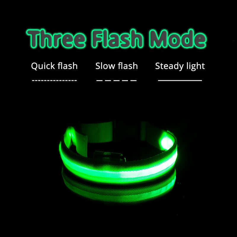 USB Charging Led Dog Collar-Boost Visibility and Safety - Never Lose Sight of Your Pet Again