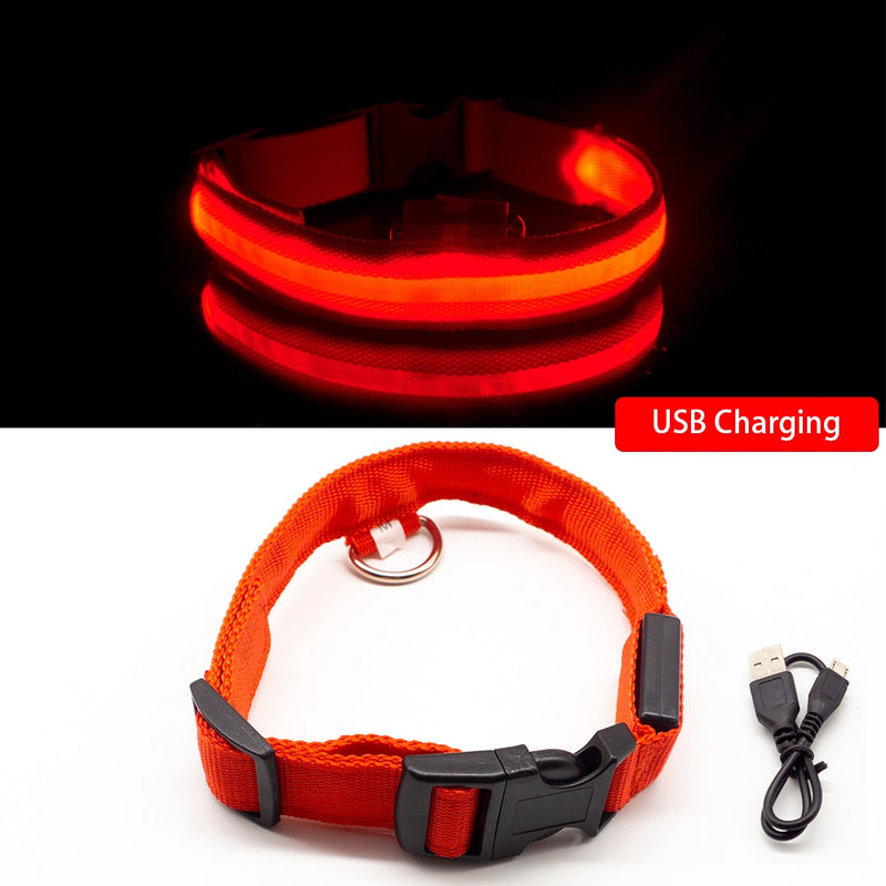 USB Charging Led Dog Collar-Boost Visibility and Safety - Never Lose Sight of Your Pet Again