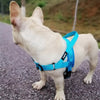 Adjustable Dog Harness - Carbone's Marketplace