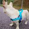 Adjustable Dog Harness - Carbone's Marketplace