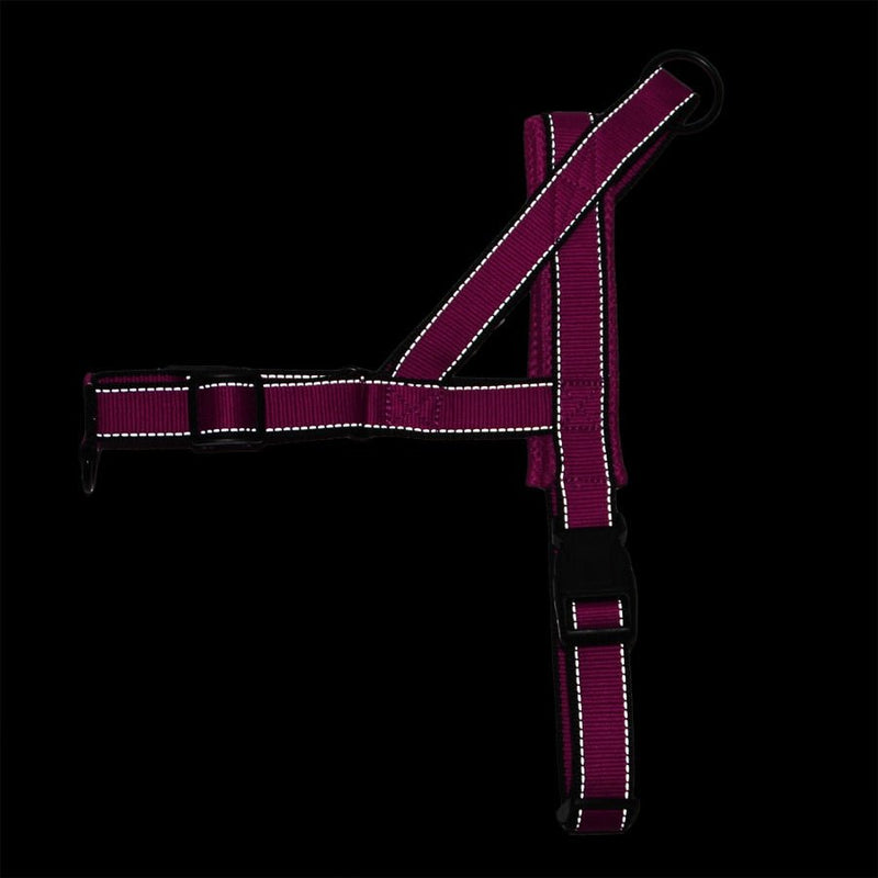 Adjustable Dog Harness - Carbone&