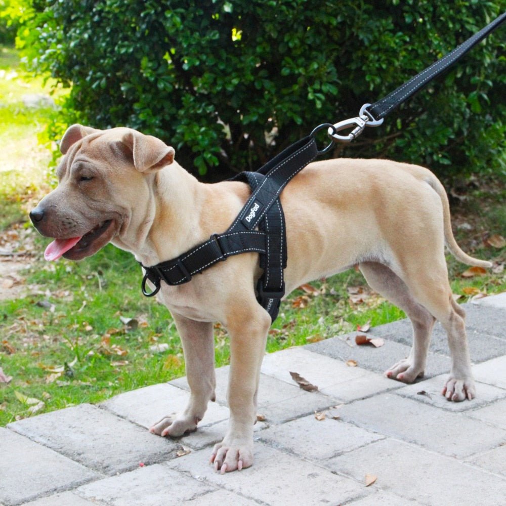 Adjustable Dog Harness - Carbone's Marketplace