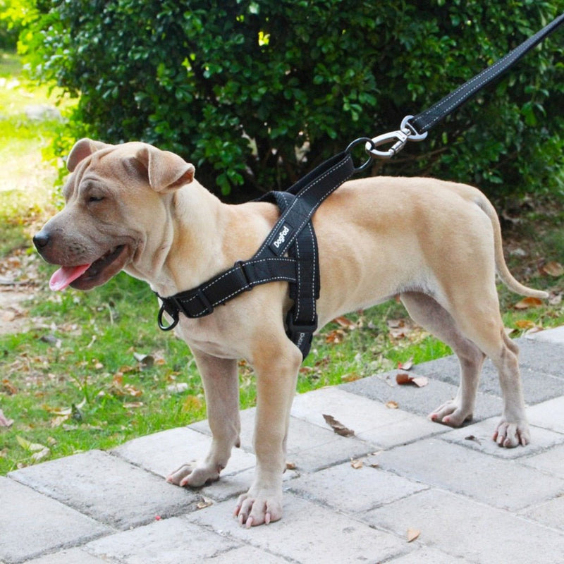 Adjustable Dog Harness - Carbone&