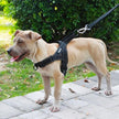 Adjustable Dog Harness - Carbone's Marketplace