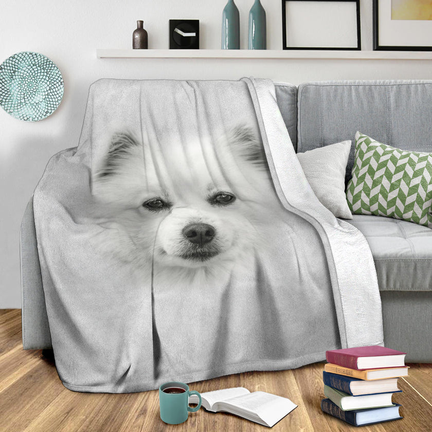 American Eskimo Face Hair