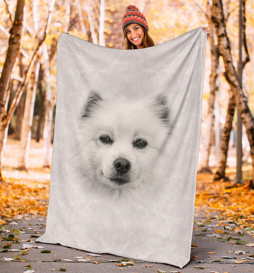 American Eskimo Face Hair