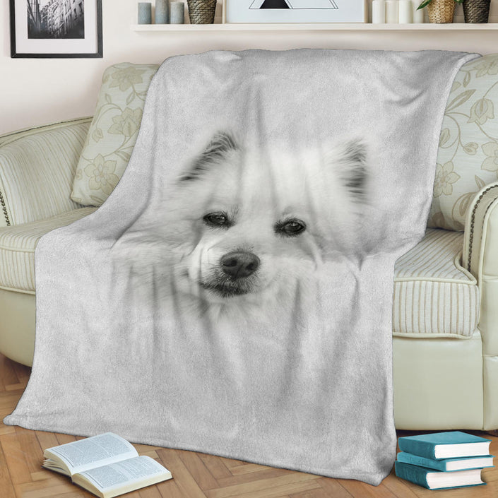 American Eskimo Face Hair