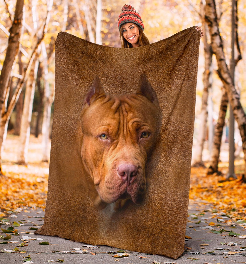 American PitBull Terrier Face Hair