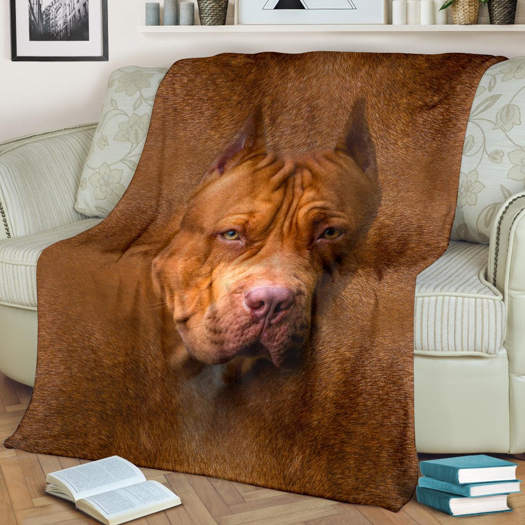 American PitBull Terrier Face Hair