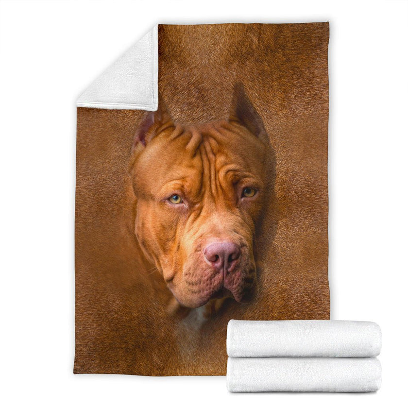 American PitBull Terrier Face Hair