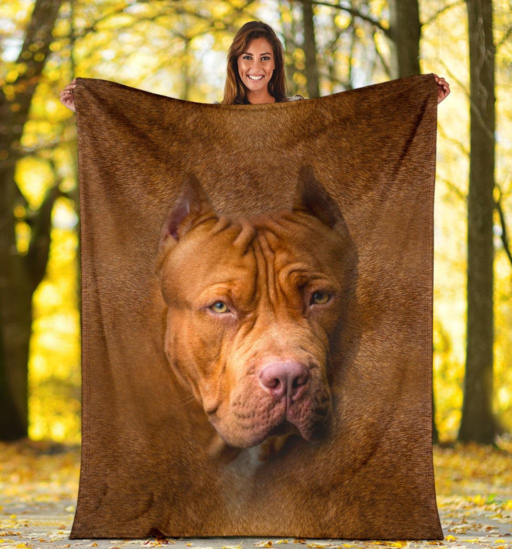 American PitBull Terrier Face Hair