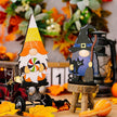 Assorted 2-Piece Halloween Element Ornaments - Carbone's Marketplace