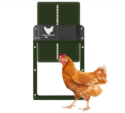 Automatic Chicken Door, Smart Light Sensor Control, Chicken Door Opener, Battery Operated, Multi Mode Chicken Flap, Evening and Morning Delayed Opening, IPX4 Waterproof (Green) - Carbone's Marketplace