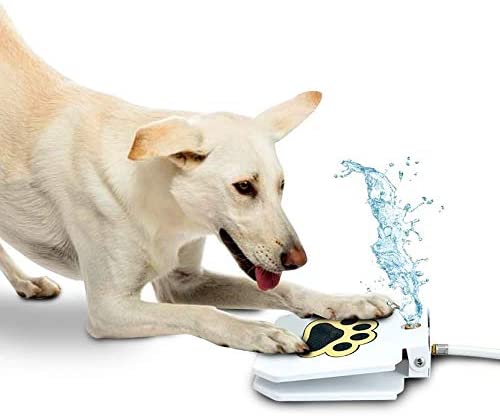 Automatic Outdoor Dog Water Fountain - Carbone&