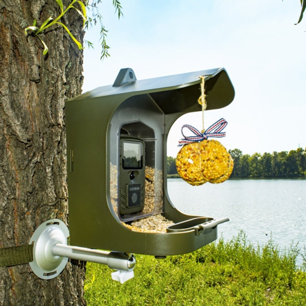 Bird Watching Camera BC-303 Surveillance Camera For Small Animals With Motion Sensor Bird Feeder Outdoor Bird Camera - Carbone's Marketplace