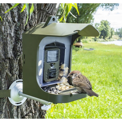 Bird Watching Camera BC-303 Surveillance Camera For Small Animals With Motion Sensor Bird Feeder Outdoor Bird Camera - Carbone's Marketplace