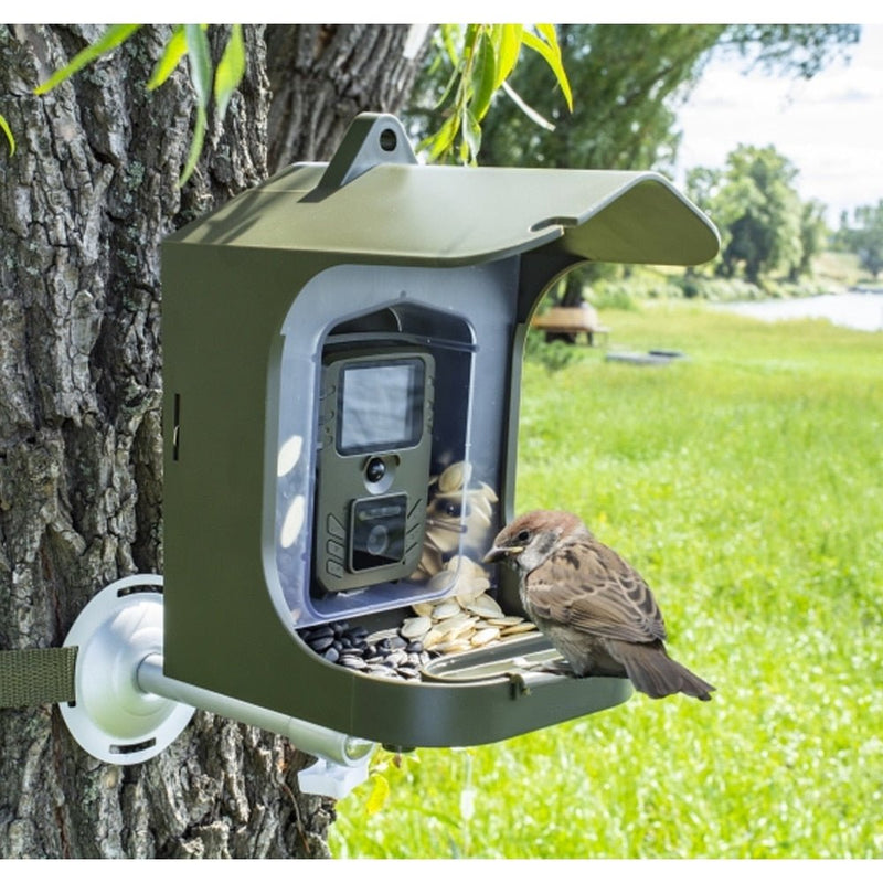 Bird Watching Camera BC-303 Surveillance Camera For Small Animals With Motion Sensor Bird Feeder Outdoor Bird Camera - Carbone&